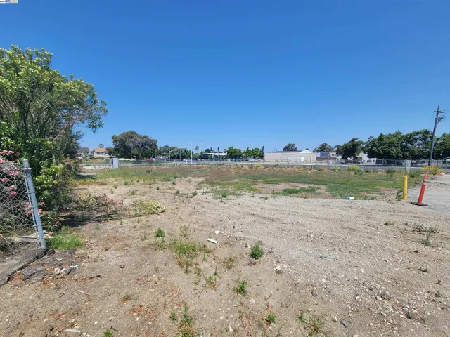 a view of a lake with beach and large trees