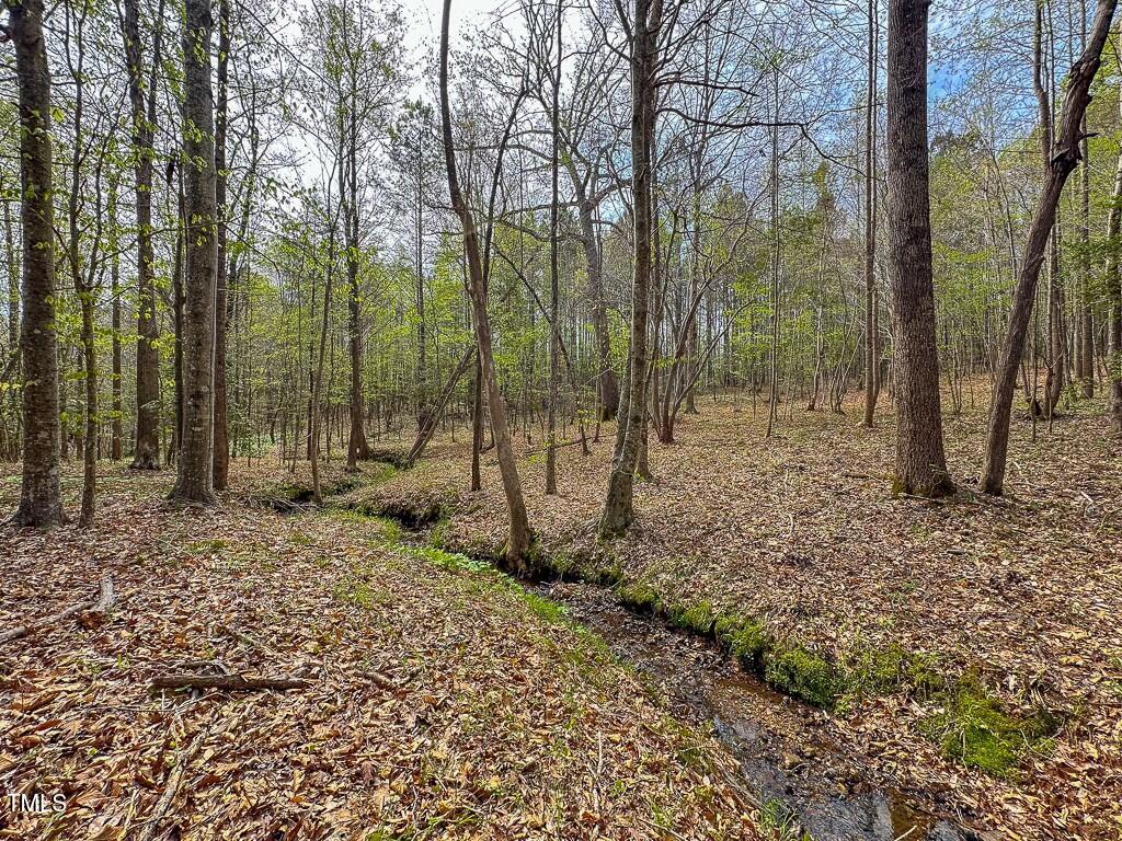 0 Rifle Range Road Warrenton, NC 27589 - Photo 29 of 38 tempImageRa823v