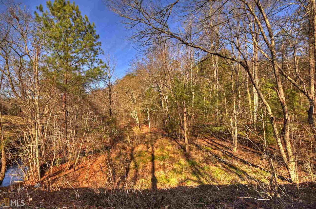 0 Dallas Lane, Unit LT 29 Blue Ridge, GA 30513 - Photo 1 of 1 a backyard of a house