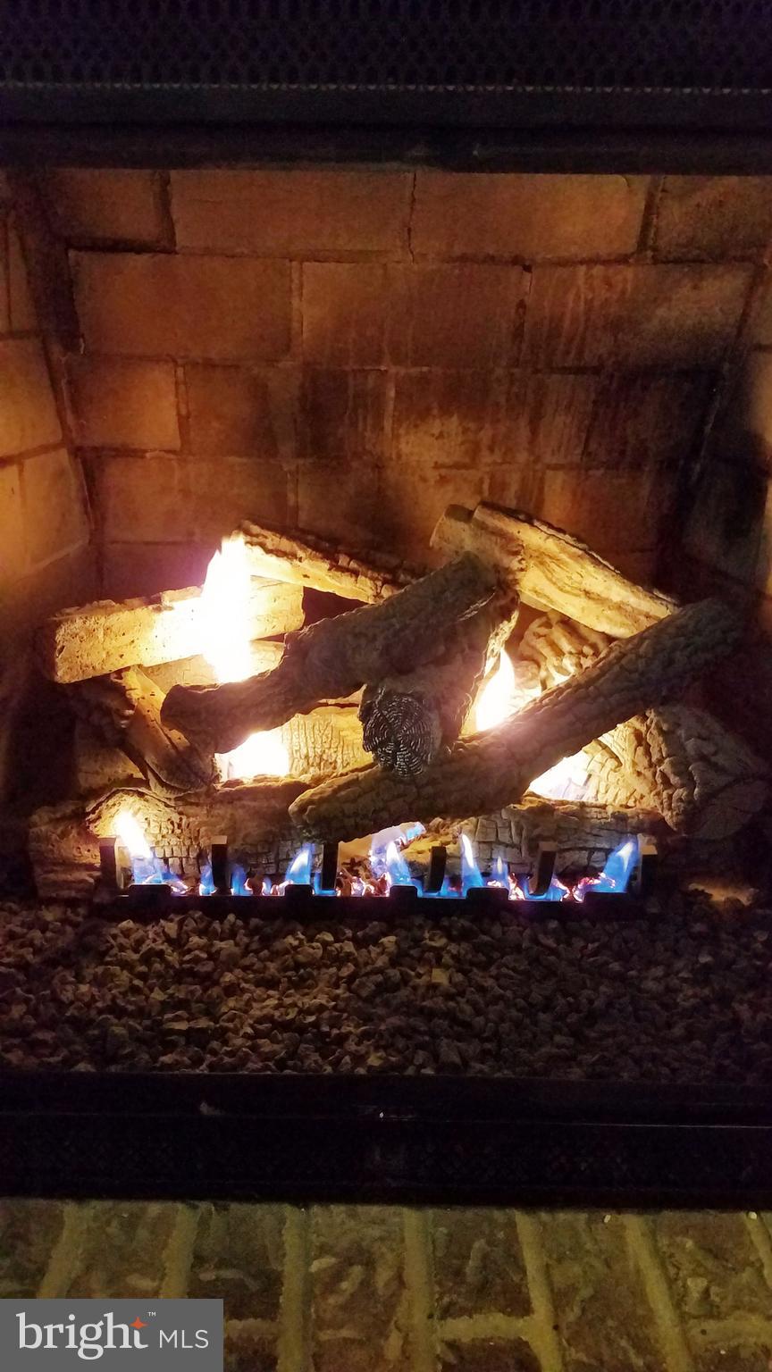 6175 Bell Road Harrisburg, PA 17111 - Photo 17 of 45 Enjoy the Gas Fireplace all winter long!