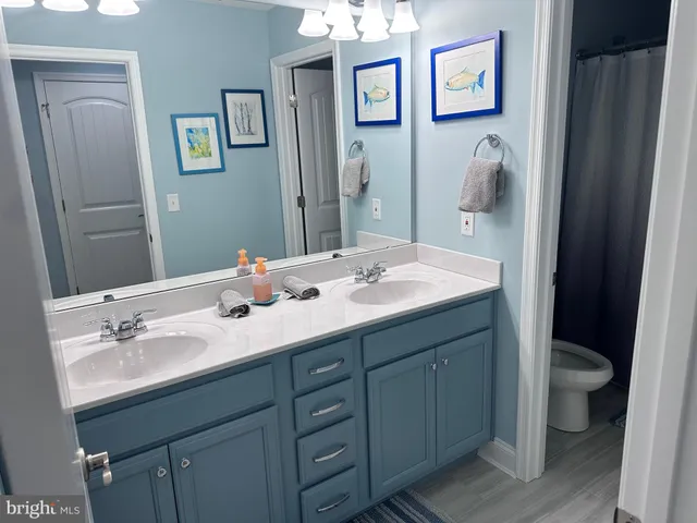 a bathroom with a double vanity sink toilet and a mirror