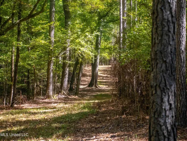 $1,600,000 | 2295 Attala Road 3115, West, MS 39192