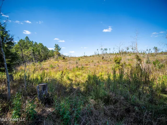 $1,600,000 | 2295 Attala Road 3115, West, MS 39192