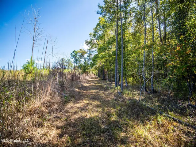 $1,600,000 | 2295 Attala Road 3115, West, MS 39192