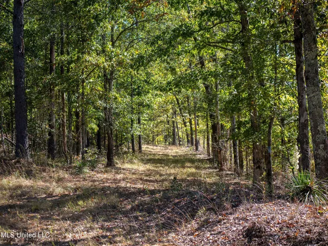 $1,600,000 | 2295 Attala Road 3115, West, MS 39192