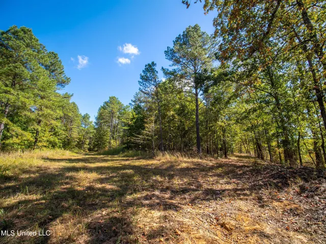 $1,600,000 | 2295 Attala Road 3115, West, MS 39192