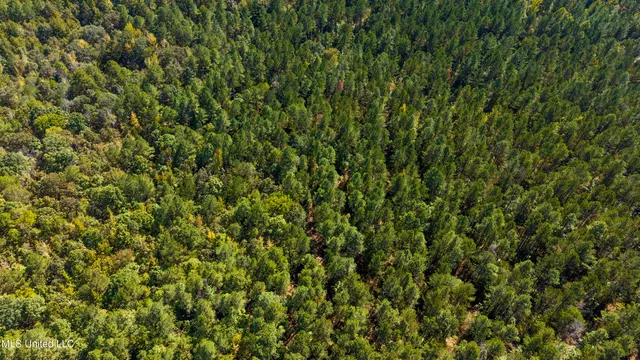 $1,600,000 | 2295 Attala Road 3115, West, MS 39192