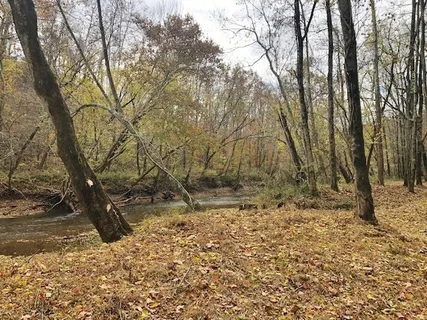 a view of a yard with an outdoor seating