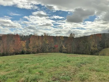 a backyard of a house with a large tree