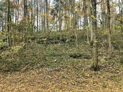 $689,900 | 351 Rocky River Road, Rock Island, TN 38581