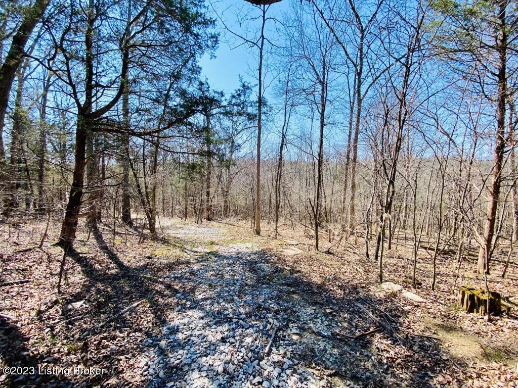 2723 Tatum Ridge Road Willisburg, KY 40078 - Photo 21 of 42 021_79791063