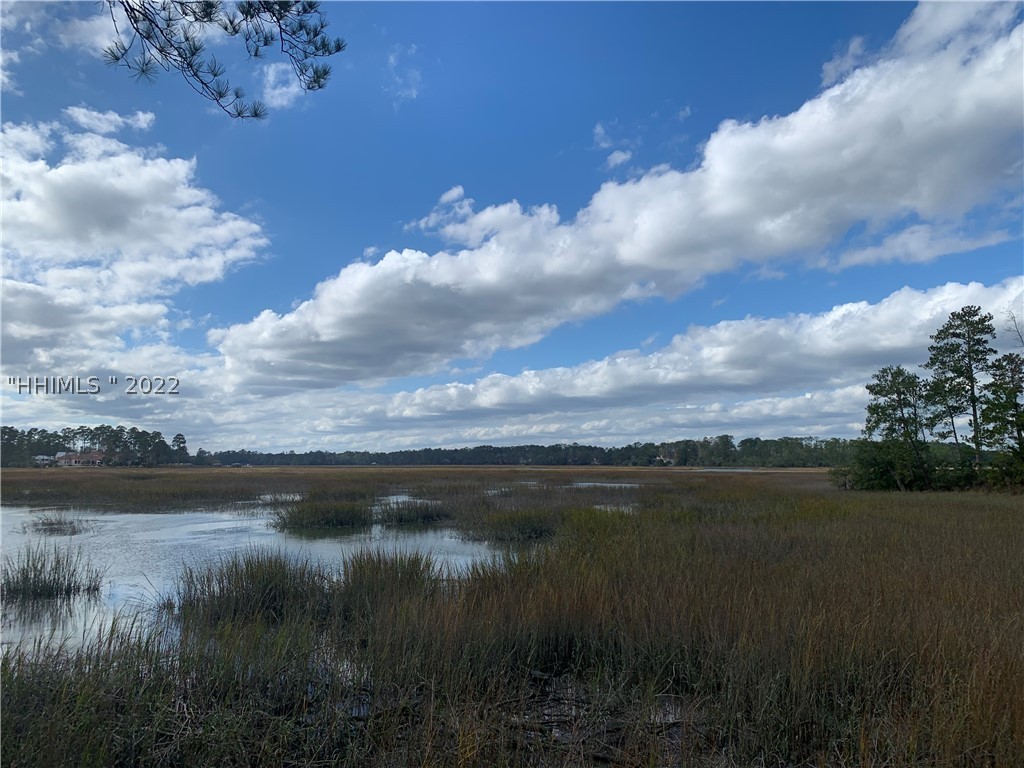 4 Spring Grove Circle Okatie, SC 29909 - Photo 1 of 1