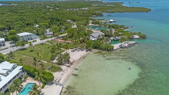a view of a lake with a city