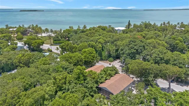 an aerial view of a house with a yard and lake view