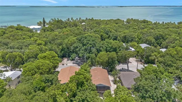 a aerial view of a house with lake view