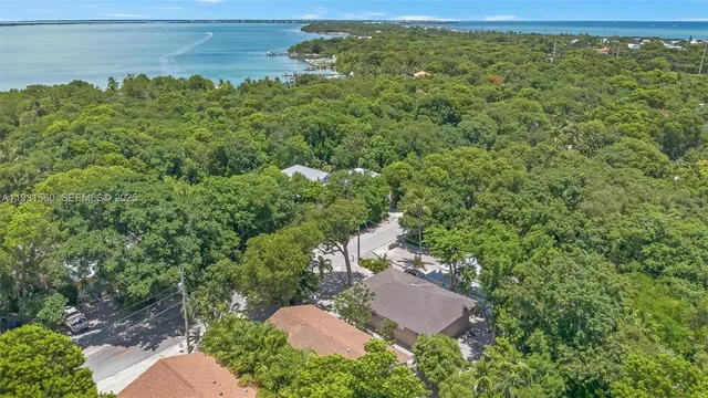 a view of a lush green forest