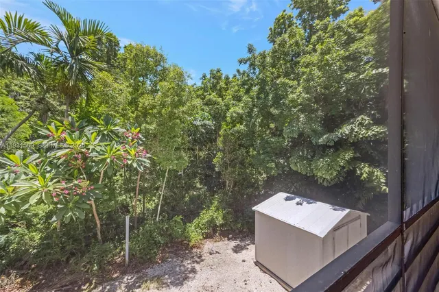 a view of a yard from a window
