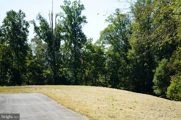 a view of a yard with trees in the background