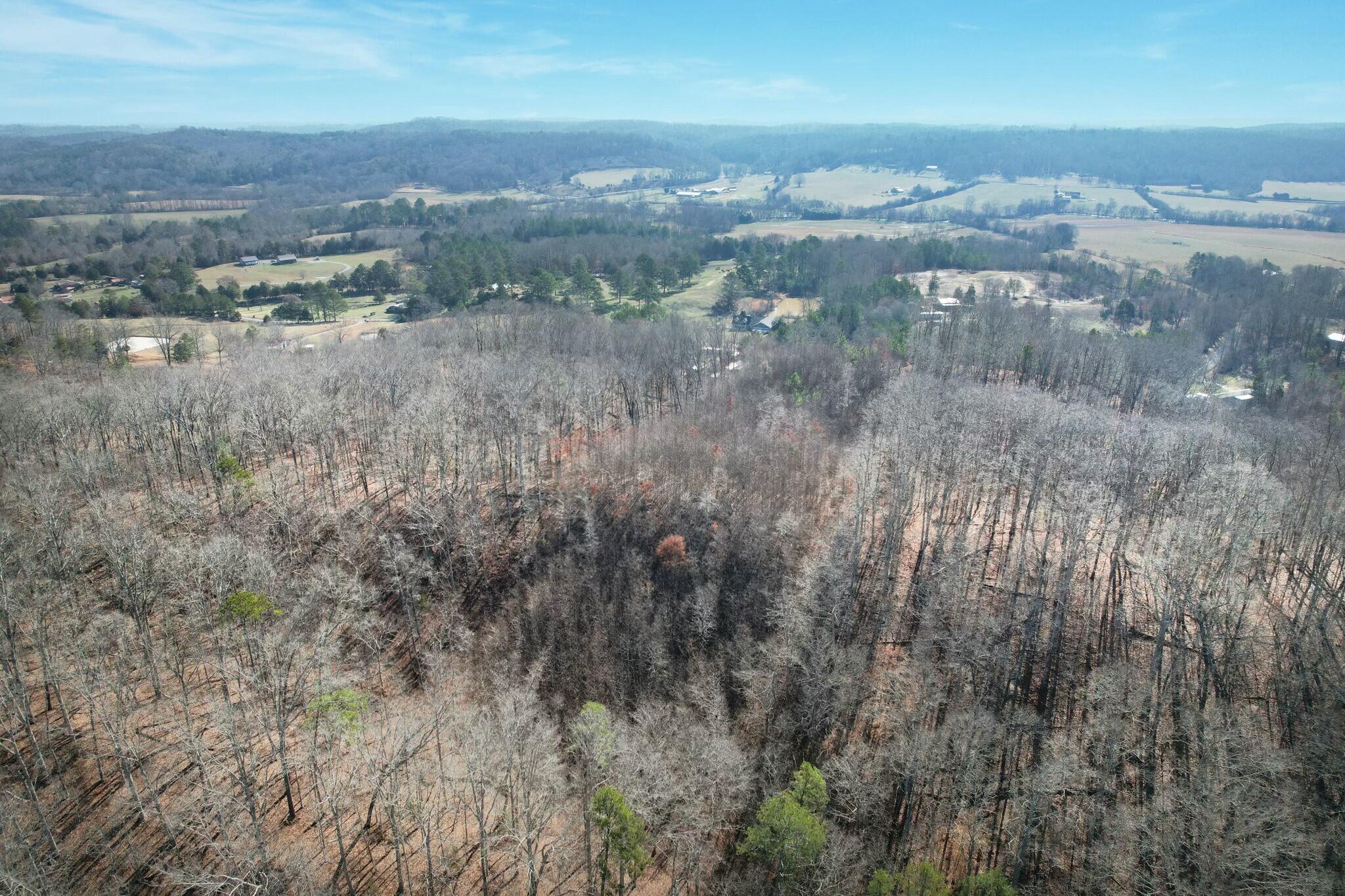 5 County Road 47 Road Athens, TN 37303 - Photo 11 of 24 tempImageW3FrvV
