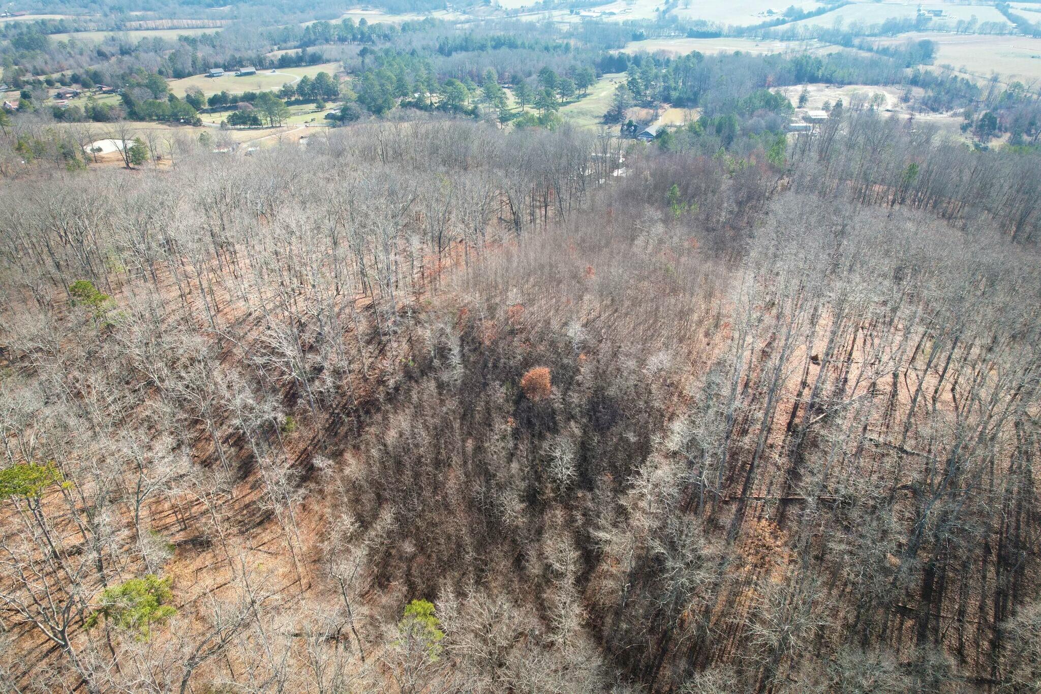 5 County Road 47 Road Athens, TN 37303 - Photo 12 of 24 tempImageapNl9v