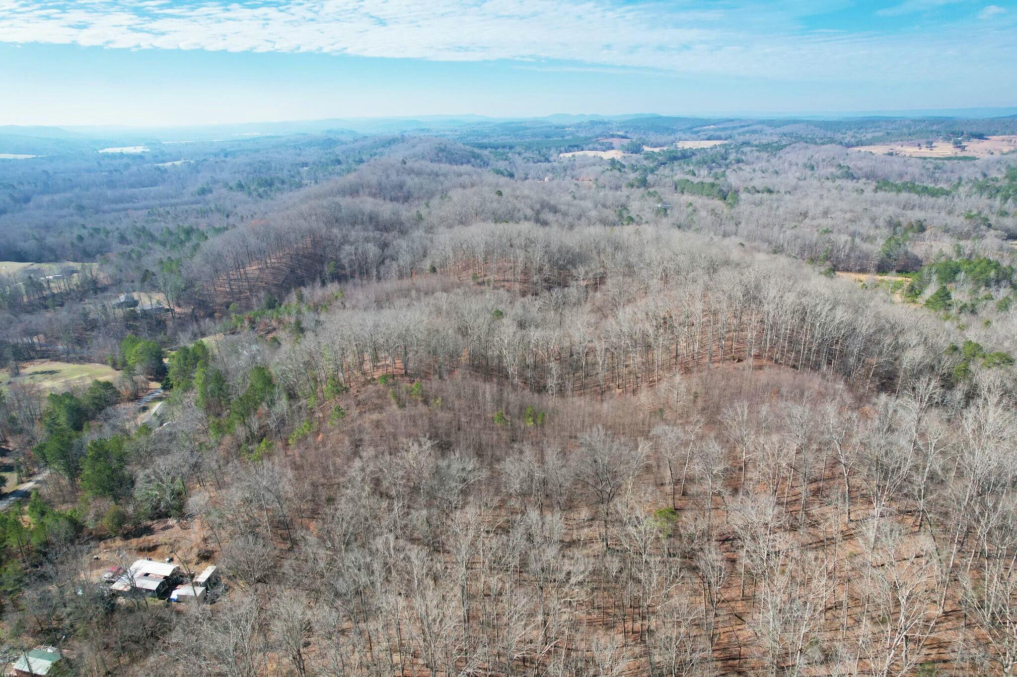 5 County Road 47 Road Athens, TN 37303 - Photo 16 of 24 tempImageWVx2TF