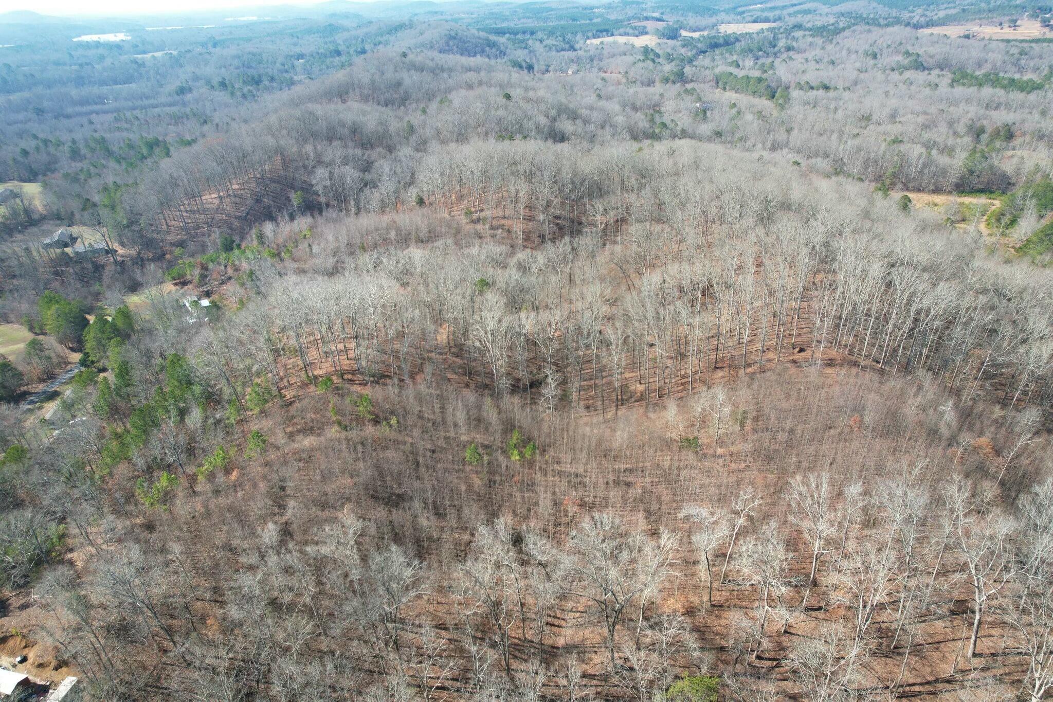 5 County Road 47 Road Athens, TN 37303 - Photo 17 of 24 tempImage8BZQj6