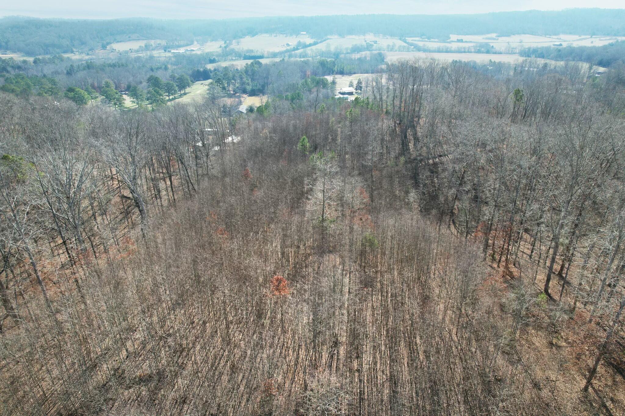 5 County Road 47 Road Athens, TN 37303 - Photo 18 of 24 tempImagegb3Jp8