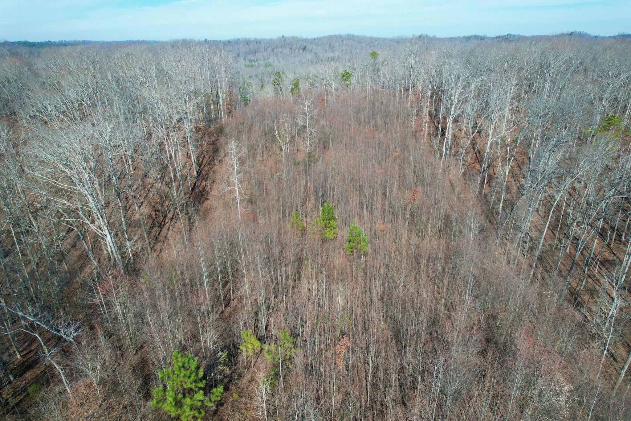 5 County Road 47 Road Athens, TN 37303 - Photo 19 of 24 tempImageyvDf9P