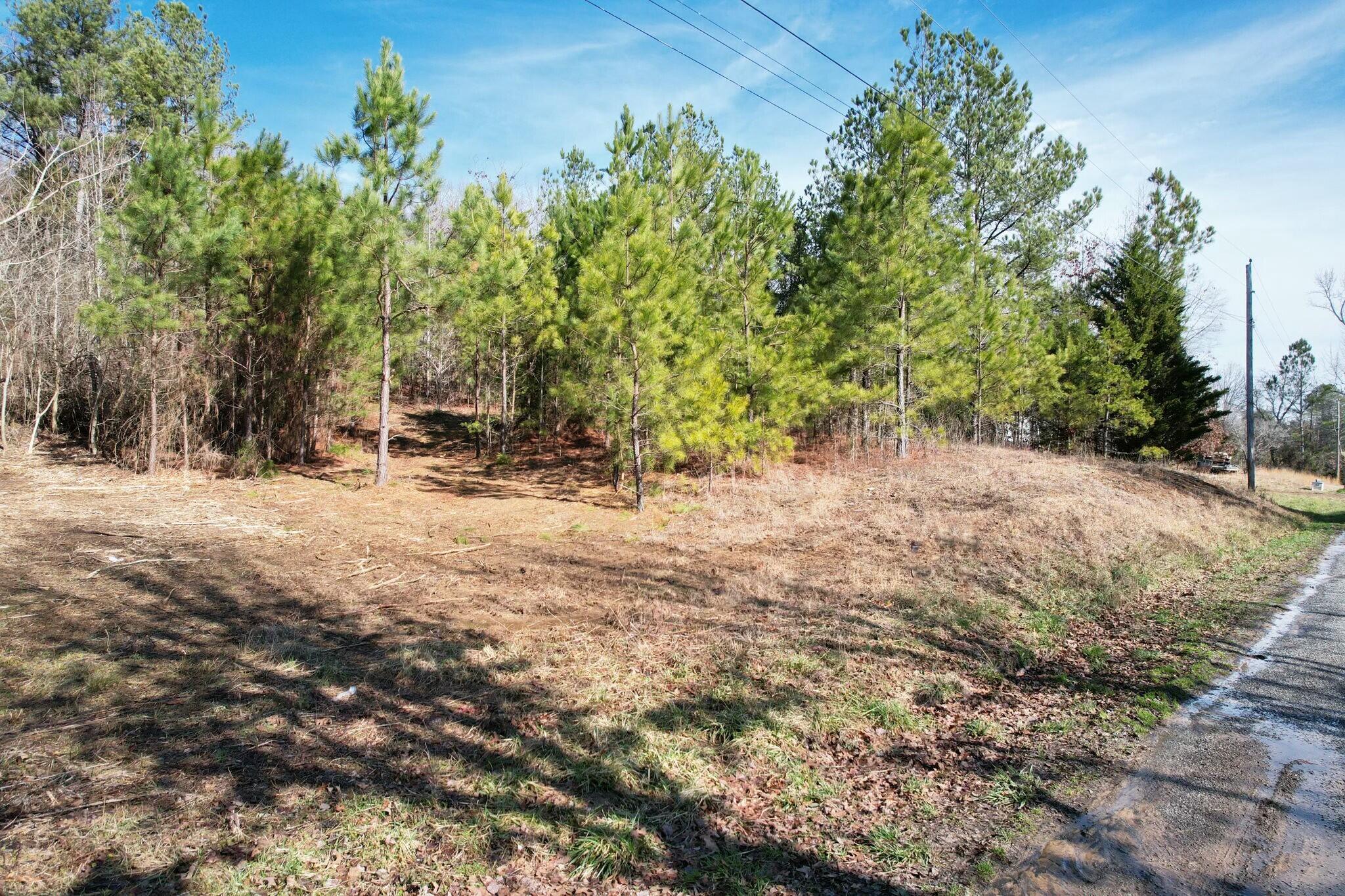 5 County Road 47 Road Athens, TN 37303 - Photo 2 of 24 tempImagegtqZQM