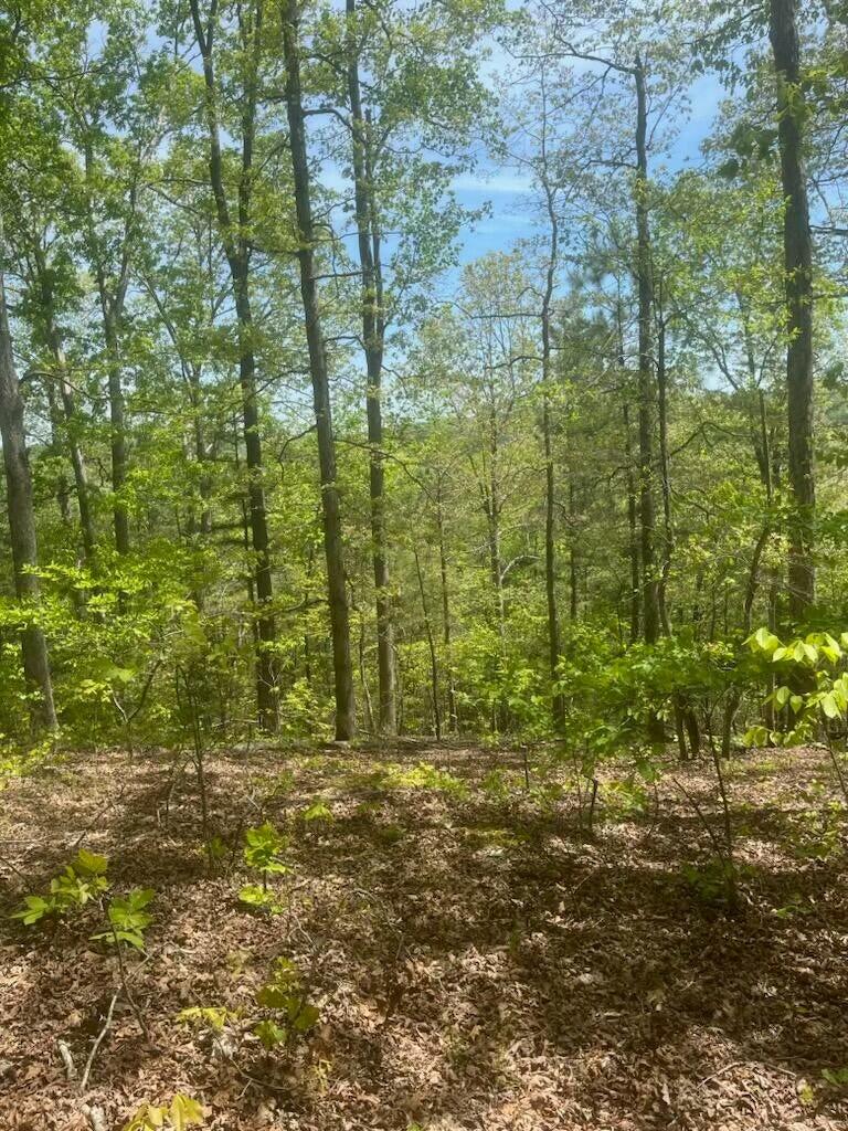 5 County Road 47 Road Athens, TN 37303 - Photo 5 of 24 tempImageIOfMKa