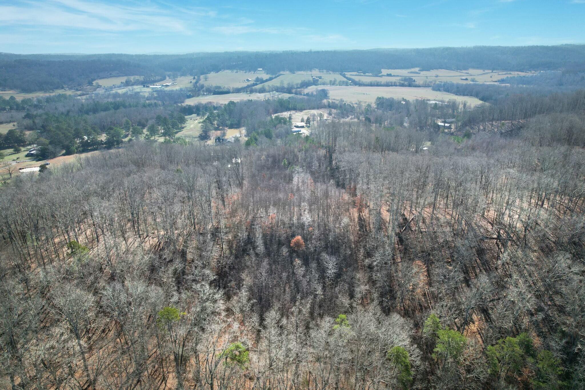 5 County Road 47 Road Athens, TN 37303 - Photo 10 of 24 tempImagePfAYK6
