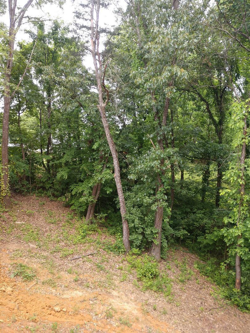 705 John Green Road Jonesborough, TN 37659 - Photo 27 of 32 jgreen30