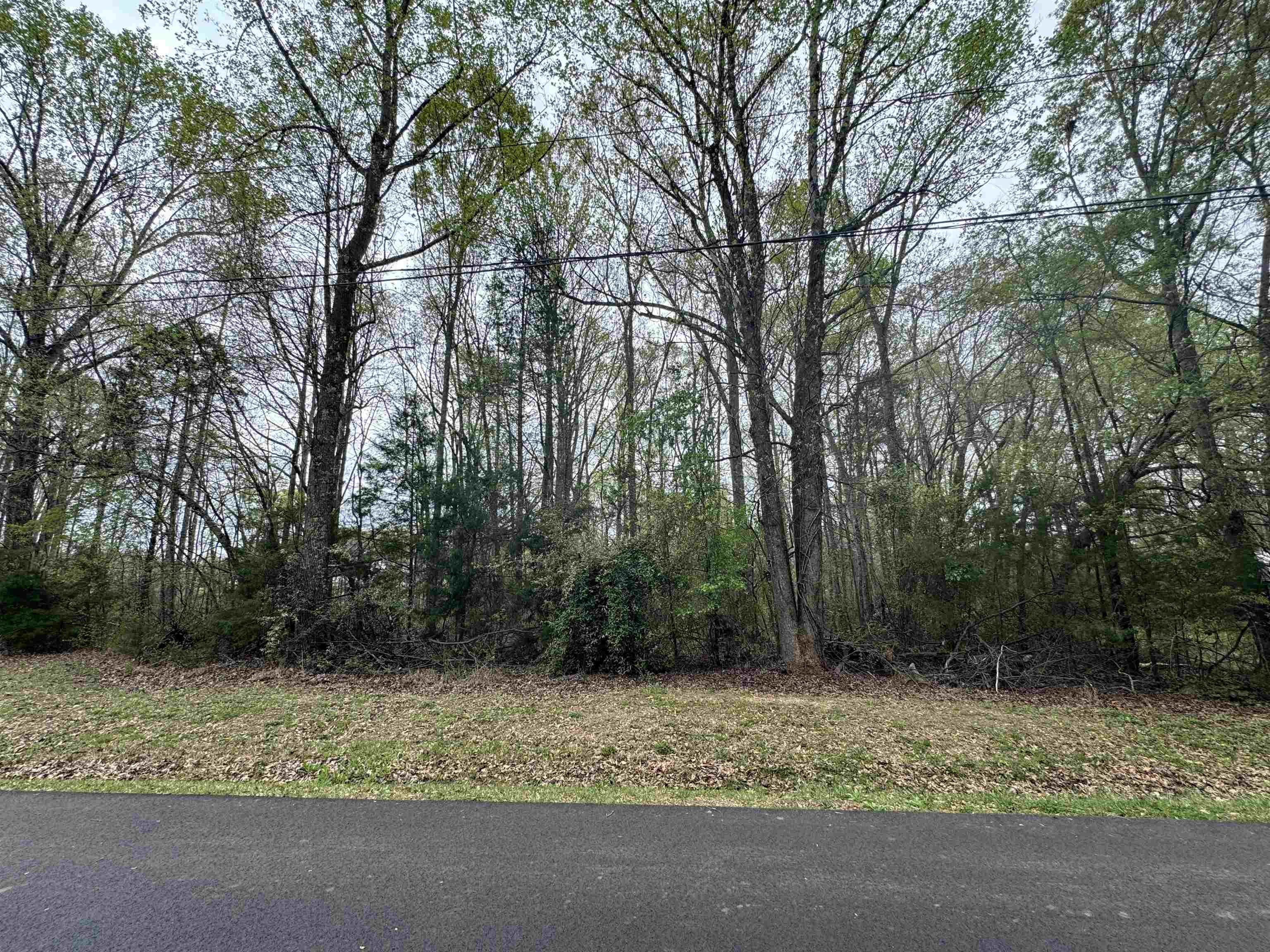 0 Cedar Circle Gaffney, SC 29340 - Photo 1 of 3