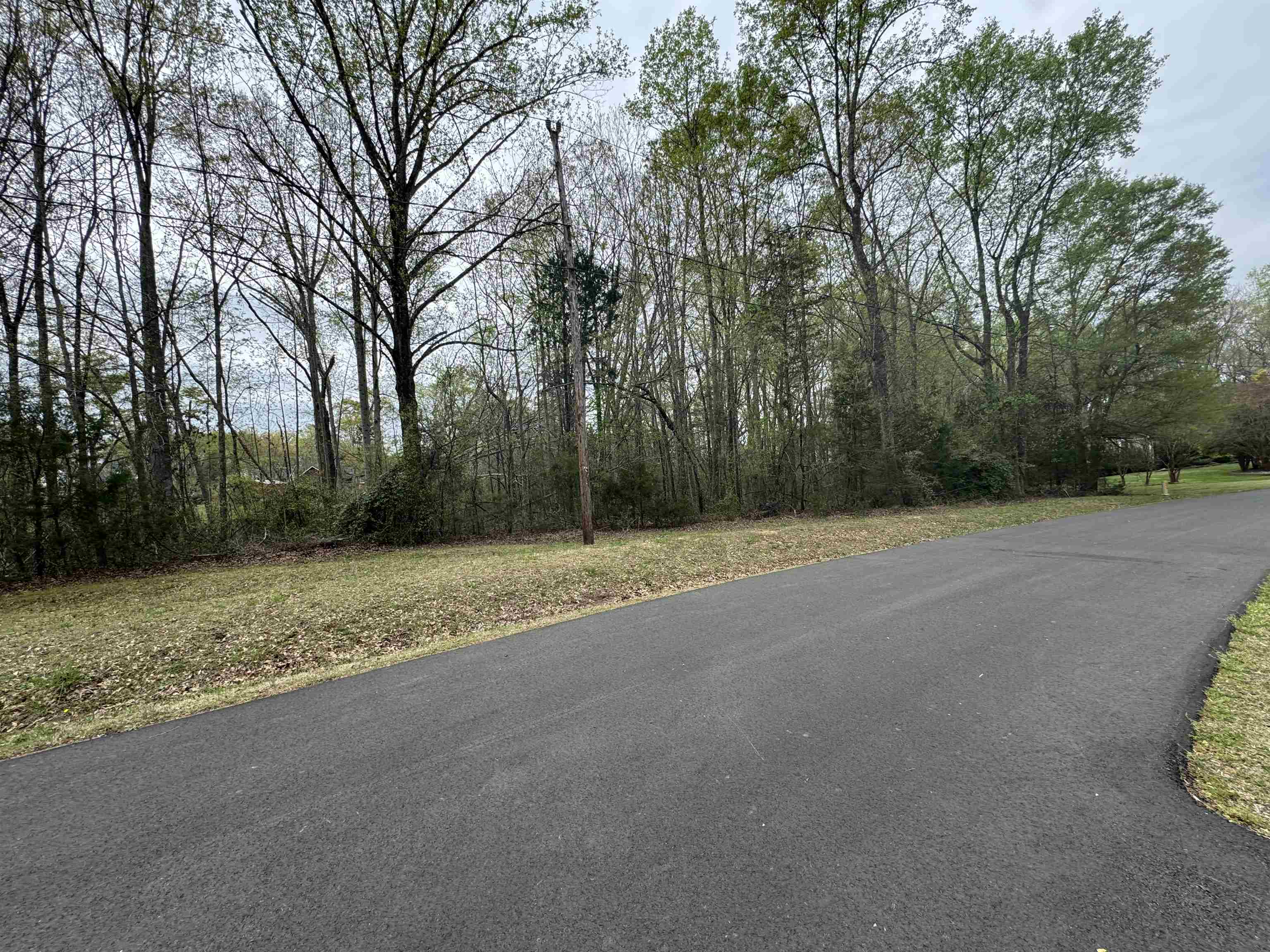 0 Cedar Circle Gaffney, SC 29340 - Photo 3 of 3