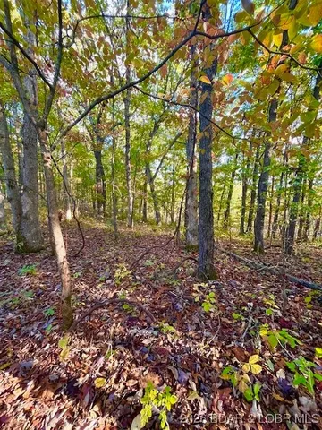 $36,300 | Lot#4-5 6&7 Lakewood Lane, Barnett, MO 65011