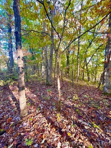 $36,300 | Lot#4-5 6&7 Lakewood Lane, Barnett, MO 65011