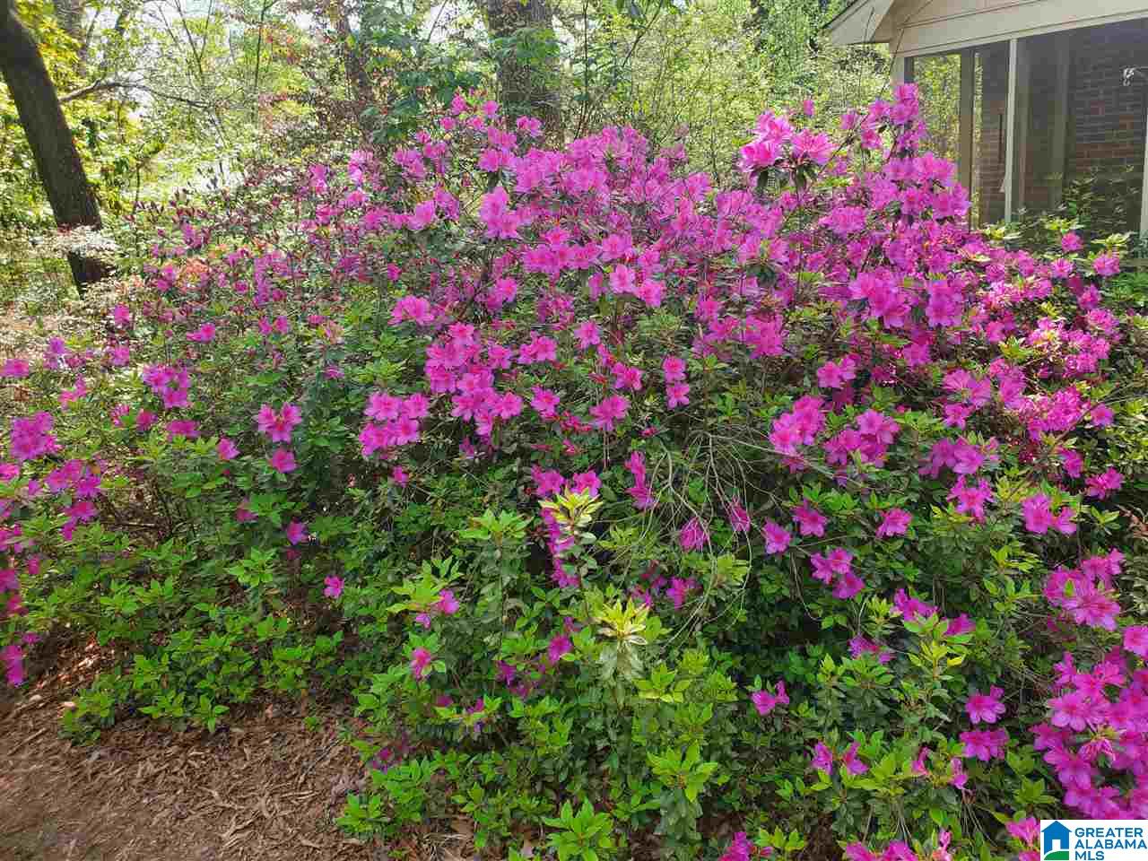 1693 Odens Mill Road Sylacauga, AL 35150 - Photo 13 of 33