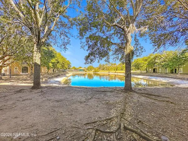 a view of a yard with a tree