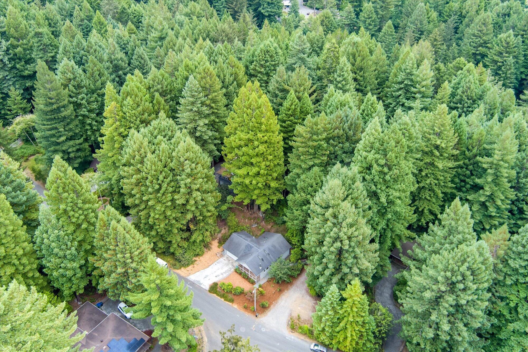 867 Beverly Way Arcata, CA 95521 - Photo 59 of 90