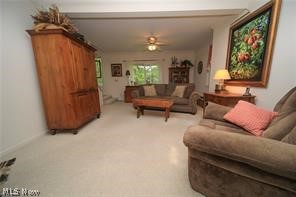 6969 Williams Road Painesville, OH 44077 - Photo 14 of 31 Gallery Image 14