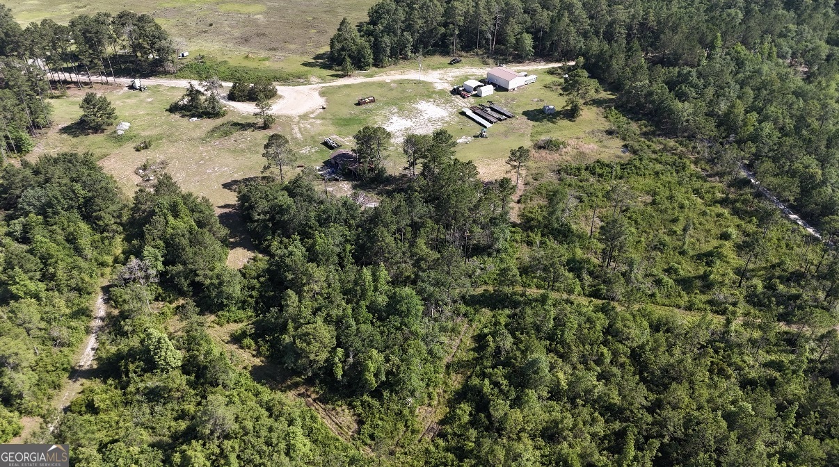 1087 Green Morgan School Road Clyo, GA 31303 - Photo 6 of 24