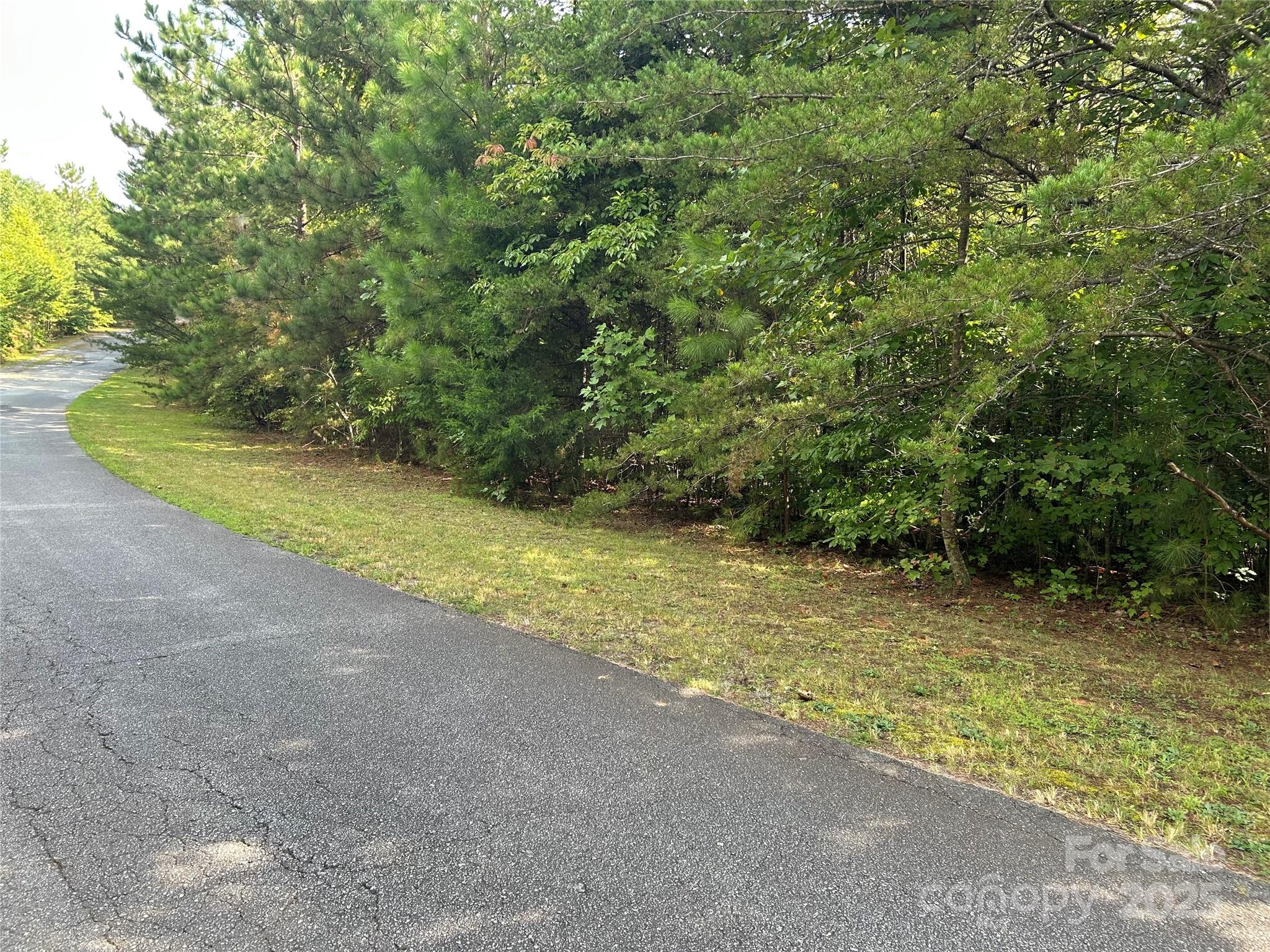 0 Hope Drive, Unit 20 Rutherfordton, NC 28139 - Photo 3 of 11