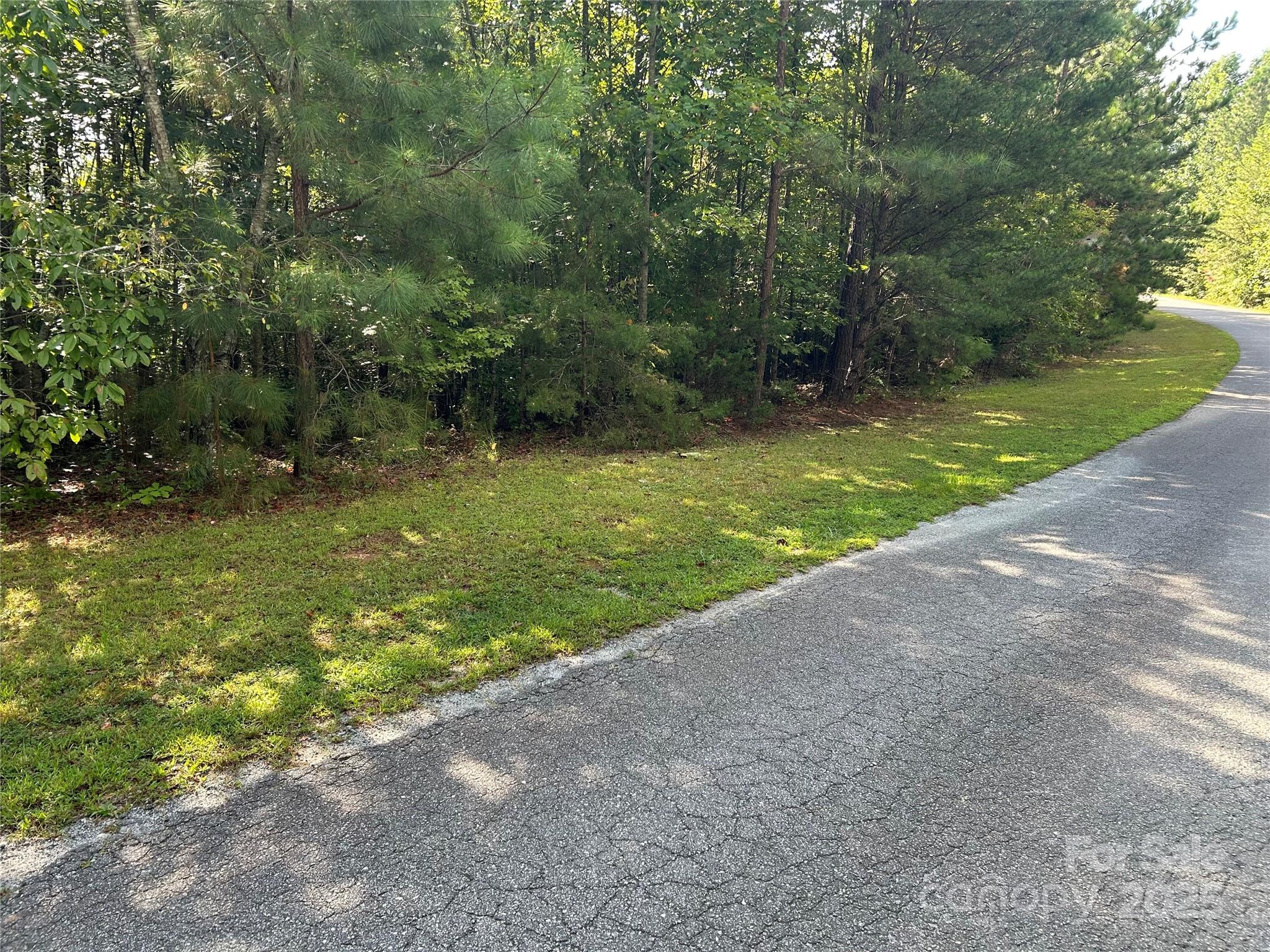 0 Hope Drive, Unit 20 Rutherfordton, NC 28139 - Photo 4 of 11