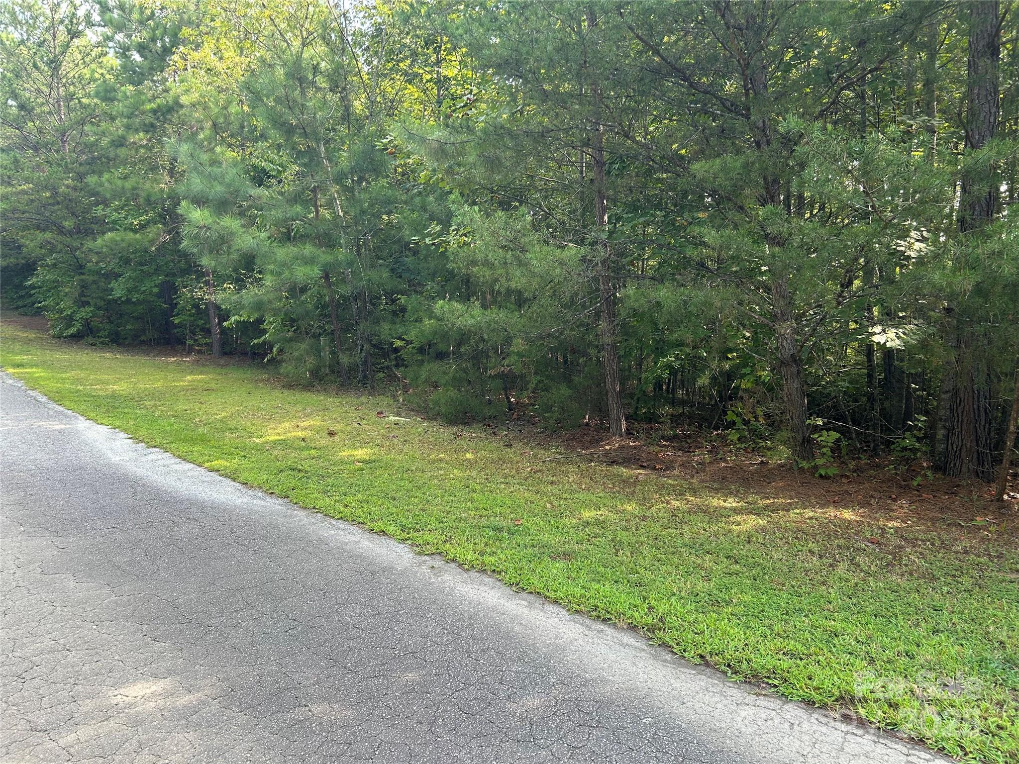 0 Hope Drive, Unit 20 Rutherfordton, NC 28139 - Photo 5 of 11