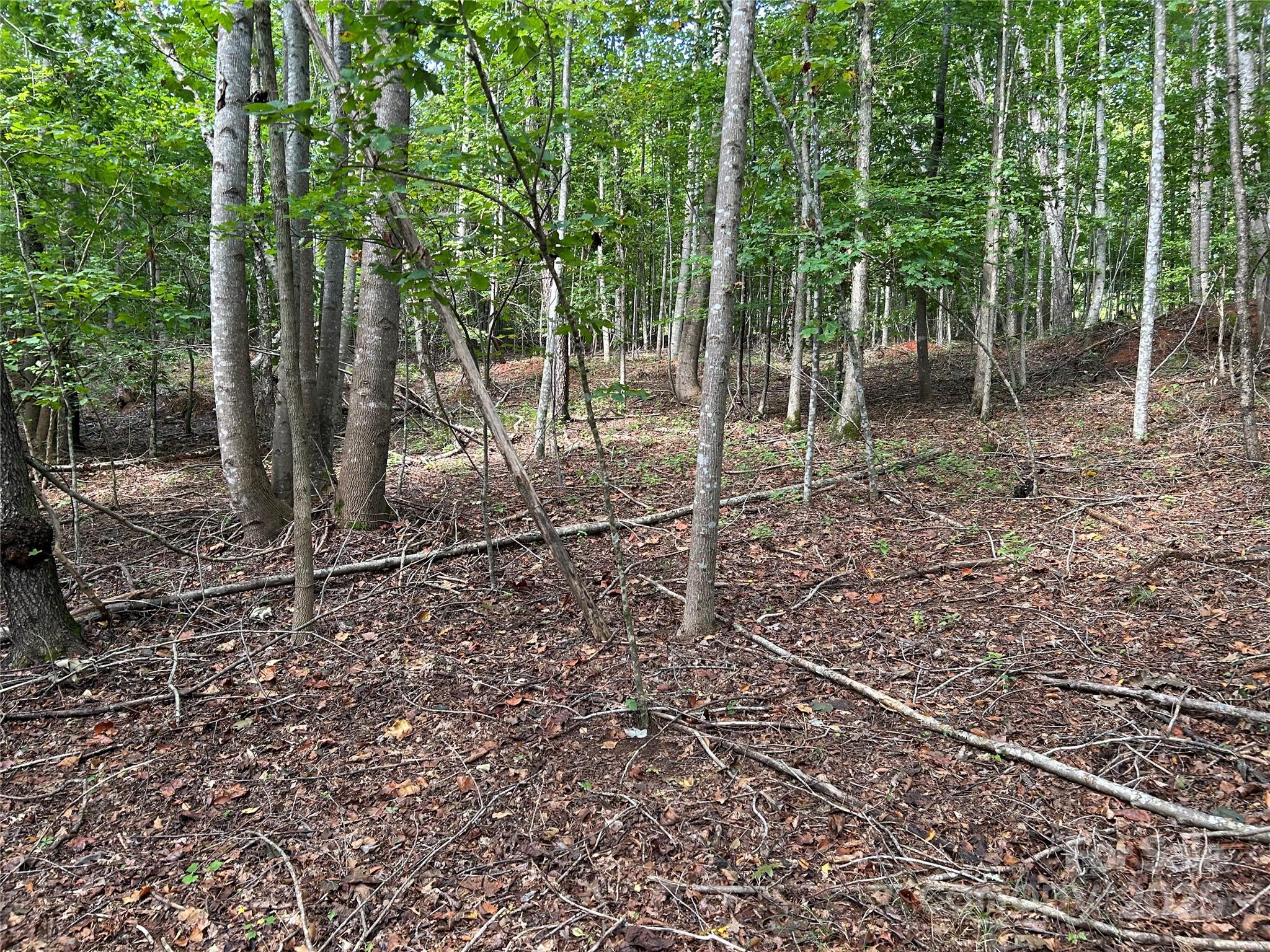 0 Hope Drive, Unit 20 Rutherfordton, NC 28139 - Photo 6 of 11