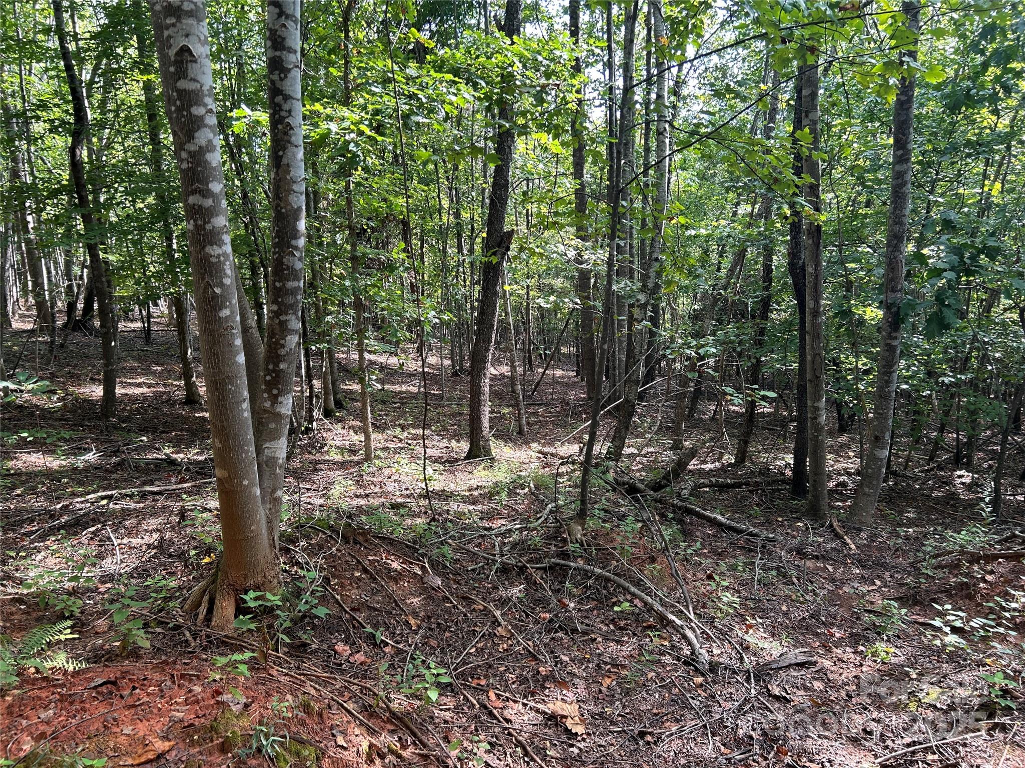 0 Hope Drive, Unit 20 Rutherfordton, NC 28139 - Photo 9 of 11