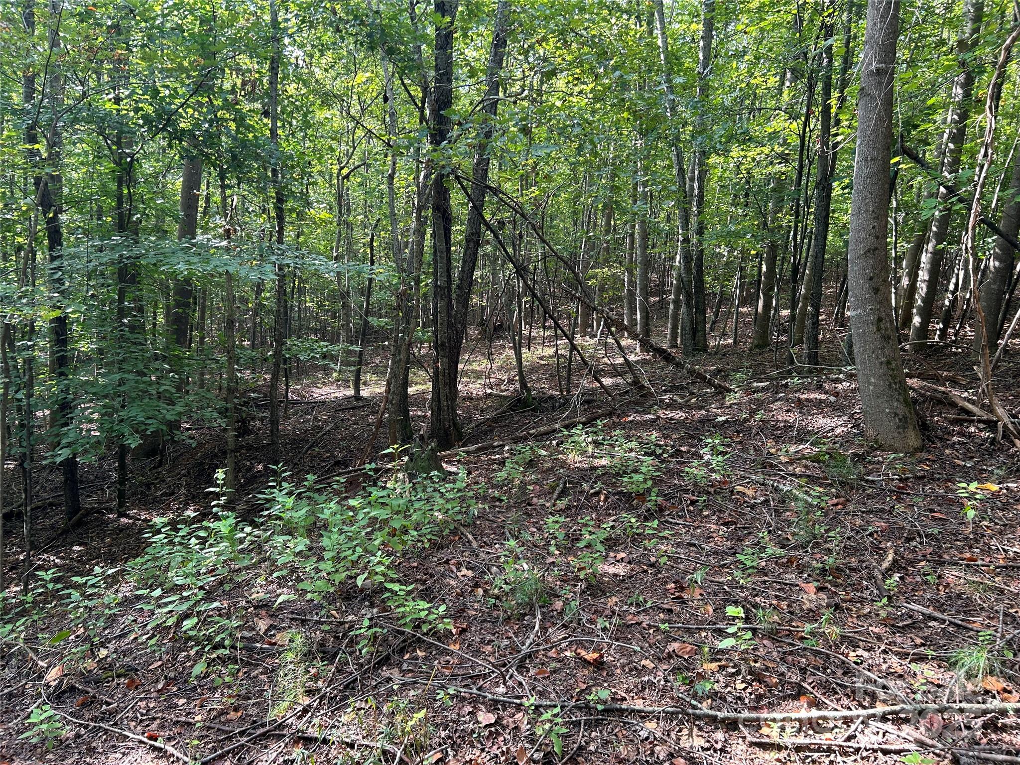 0 Hope Drive, Unit 20 Rutherfordton, NC 28139 - Photo 10 of 11