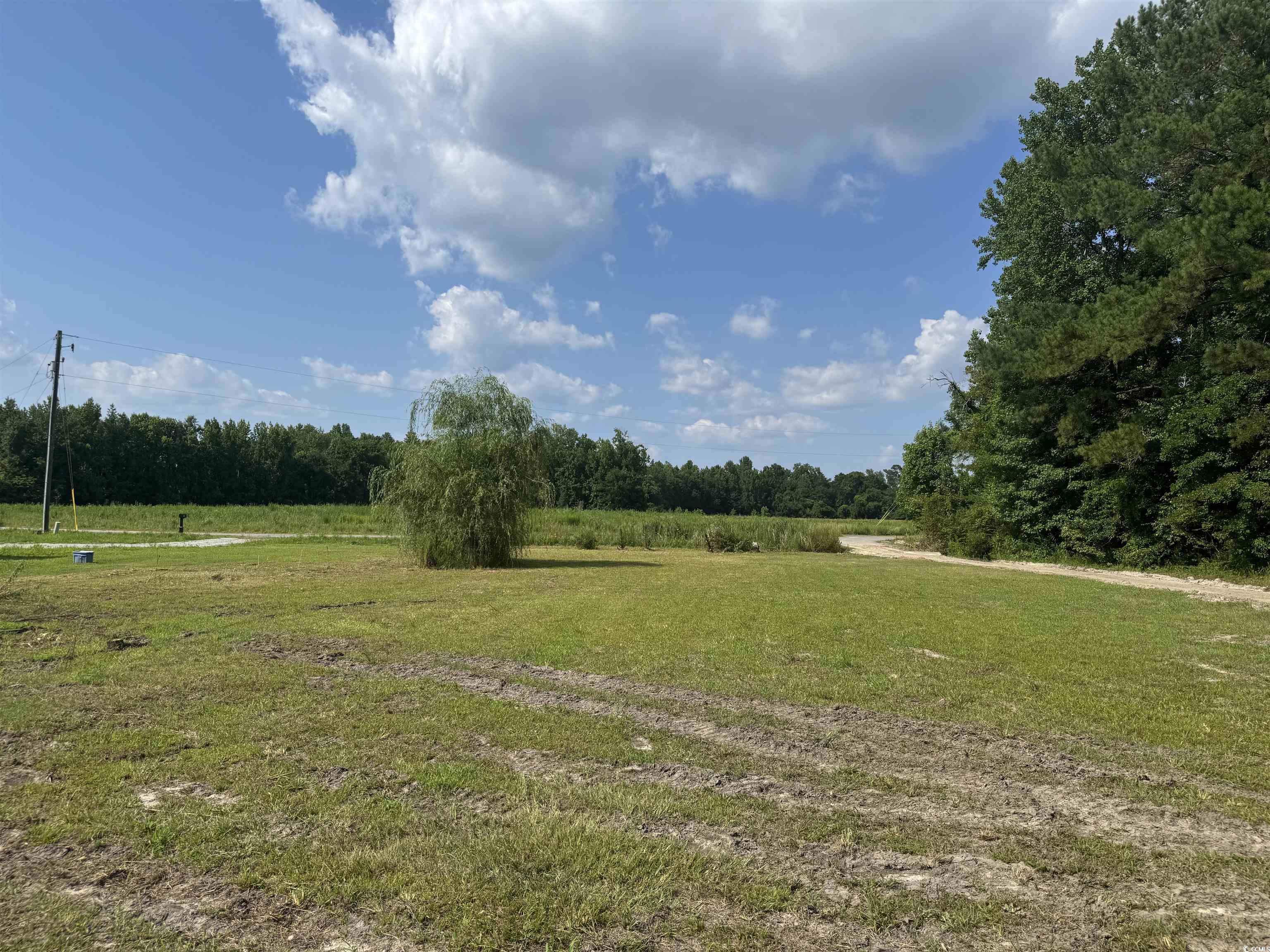 364 Jamie Road Galivants Ferry, SC 29544 - Photo 4 of 23 View of green lawn