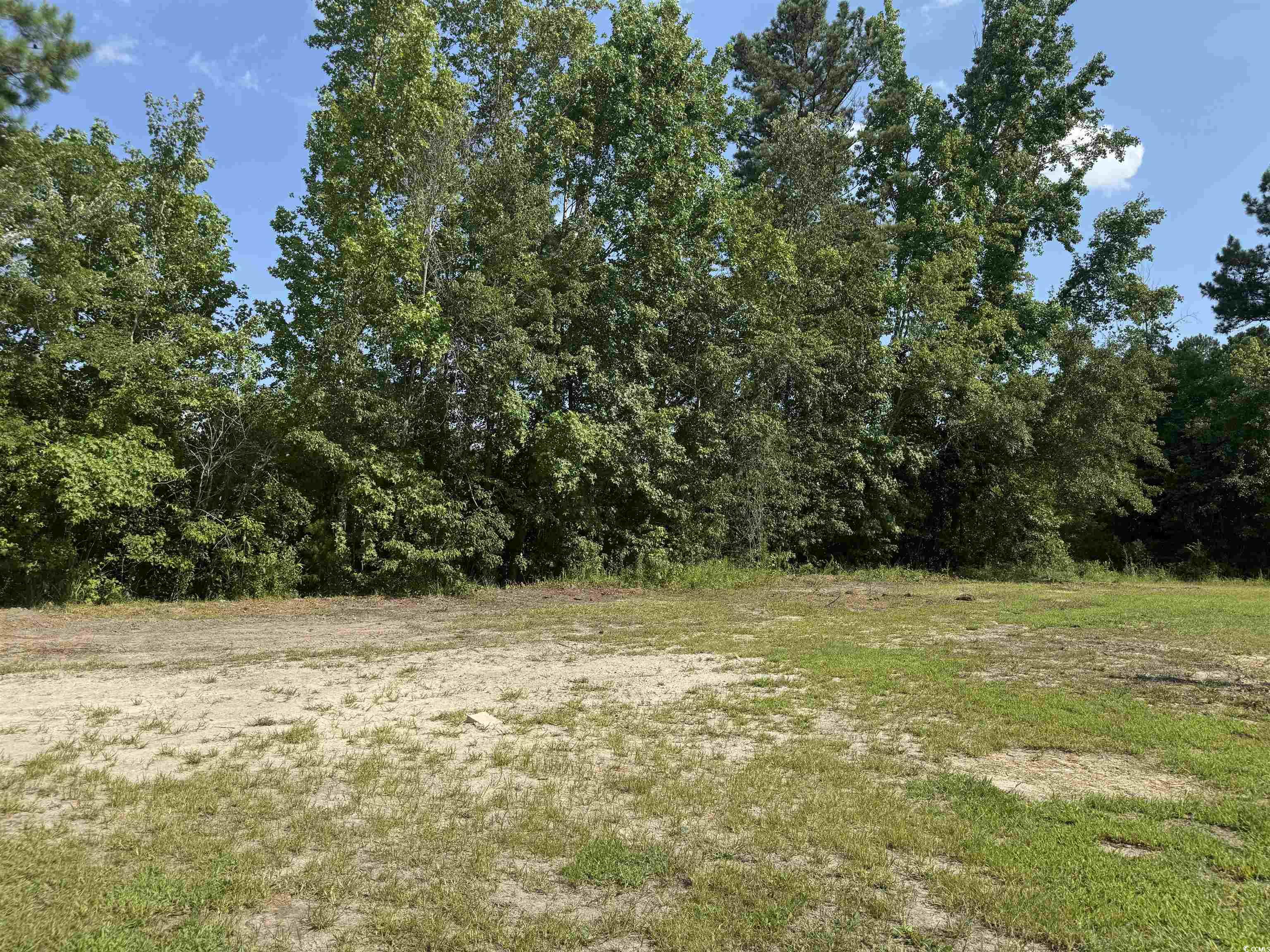 364 Jamie Road Galivants Ferry, SC 29544 - Photo 6 of 23 View of wooded area