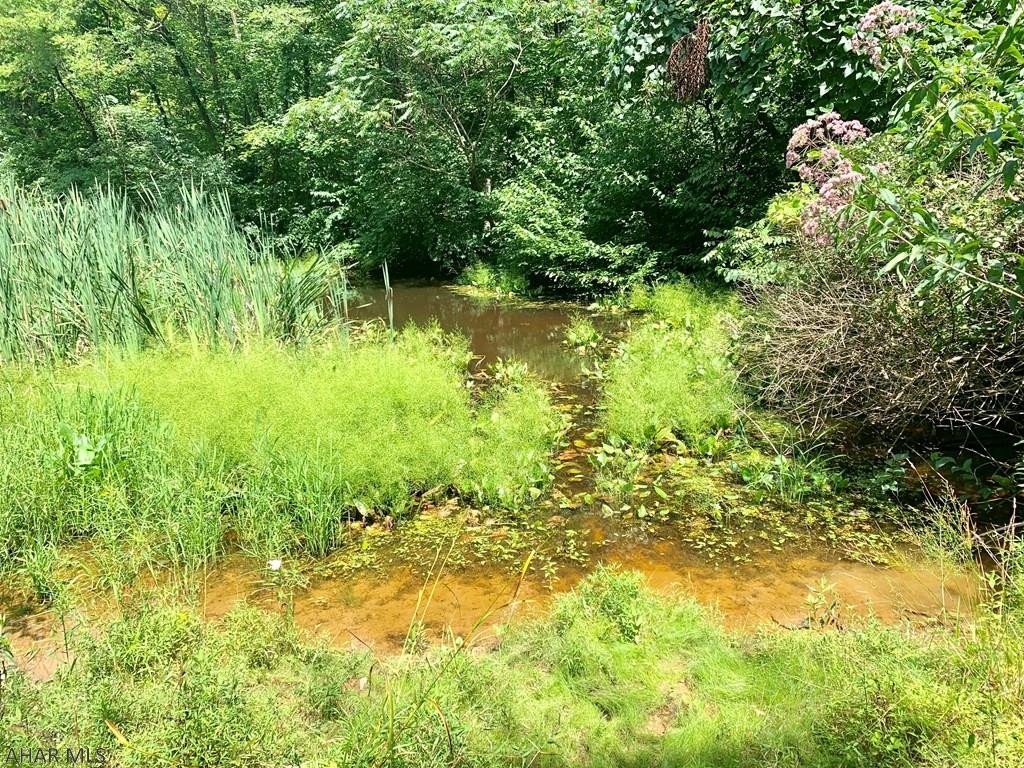 491 Mississippi Road Manns Choice, PA 15550 - Photo 23 of 30 a view of yard with green space